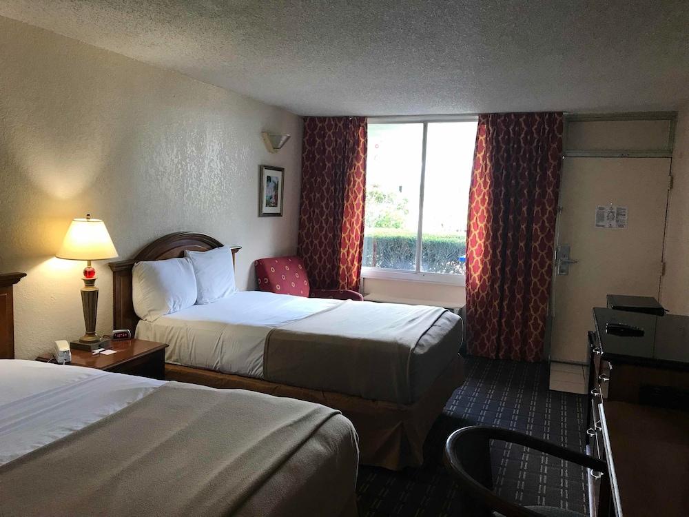 Quality Inn Tampa Lake Magdalene Exterior foto